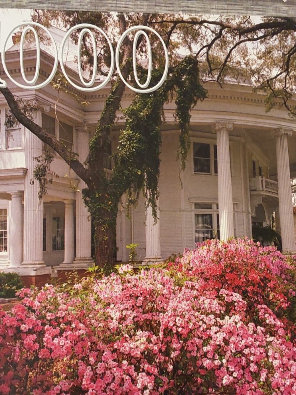 1995 Guild Puzzle 1000 Piece Crescent House, Valdosta Georgia Brand New Sealed - Picture 4 of 9